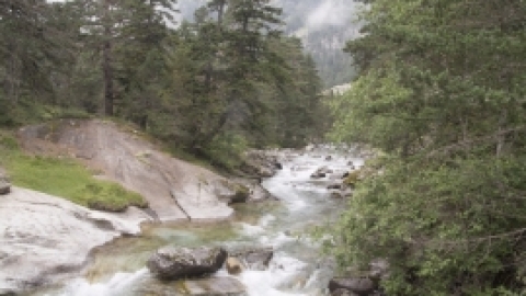 טיול לפירנאים וארץ הבסקים יולי 2017 (44).jpg