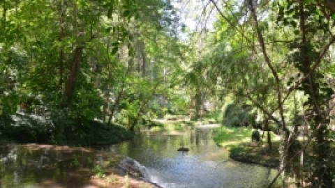 טיול לפירנאים וארץ הבסקים יולי 2017 (52).jpg