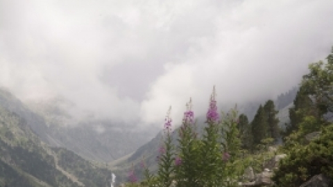 טיול לפירנאים וארץ הבסקים יולי 2017 (53).jpg