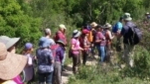 טיול לכרמל אפריל 2017 (5).jpg