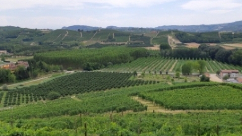 איטליה - יולי 2022 (5).jpg