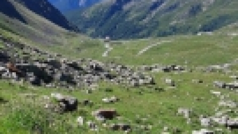 איטליה - יולי 2022 (19).jpg