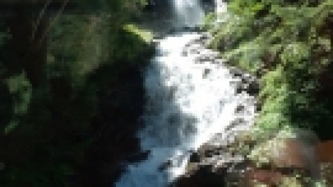 איטליה - יולי 2022 (22).jpg