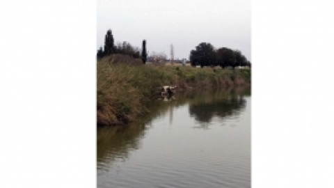 טיול בעמק חפר 17 מרץ 2017 (3).jpg