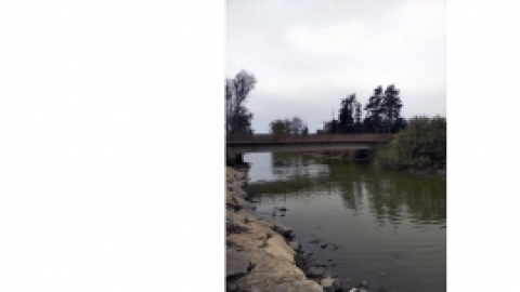 טיול בעמק חפר 17 מרץ 2017 (5).jpg