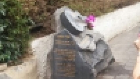 נופשון בתל אביב 15112016 (8).jpg