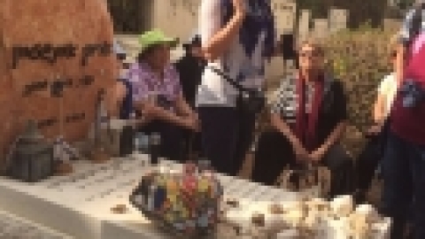 נופשון בתל אביב 15112016 (2).jpg