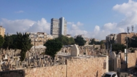 נופשון בתל אביב 15112016 (4).jpg