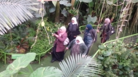 טיול לפארק אוטופיה, ותיקים בדואים, פברואר 2016 (10).jpg