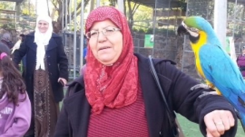 טיול לפארק אוטופיה, ותיקים בדואים, פברואר 2016 (5).jpg