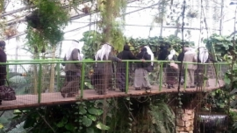 טיול לפארק אוטופיה, ותיקים בדואים, פברואר 2016 (12).jpg