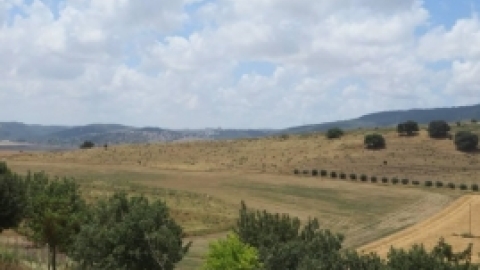 מאי 2016- אלבום תמונות מטיול לבית שערים בהדרכת רונה אביסף, מדריכת טיולים, אדריכלית נוף וארכיאולוגית,