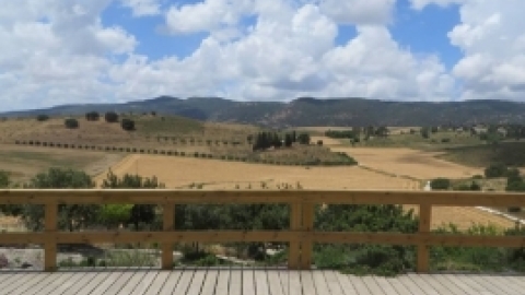 מאי 2016- אלבום תמונות מטיול לבית שערים בהדרכת רונה אביסף, מדריכת טיולים, אדריכלית נוף וארכיאולוגית,