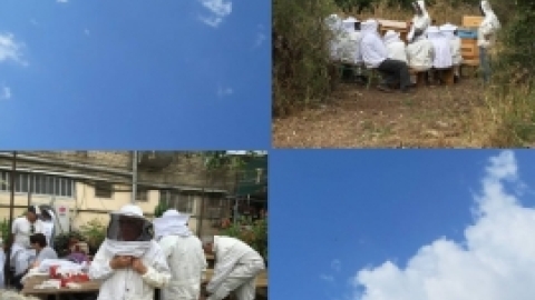 מאי 2016- אלבום תמונות מטיול לבית שערים בהדרכת רונה אביסף, מדריכת טיולים, אדריכלית נוף וארכיאולוגית,