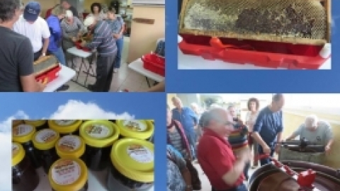 מאי 2016- אלבום תמונות מטיול לבית שערים בהדרכת רונה אביסף, מדריכת טיולים, אדריכלית נוף וארכיאולוגית,