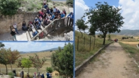 מאי 2016- אלבום תמונות מטיול לבית שערים בהדרכת רונה אביסף, מדריכת טיולים, אדריכלית נוף וארכיאולוגית,