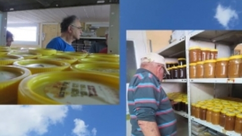 מאי 2016- אלבום תמונות מטיול לבית שערים בהדרכת רונה אביסף, מדריכת טיולים, אדריכלית נוף וארכיאולוגית,