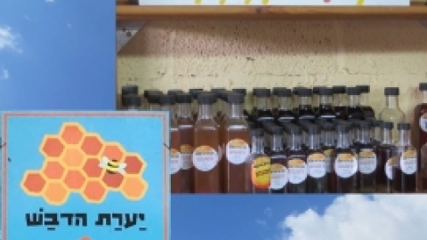 מאי 2016- אלבום תמונות מטיול לבית שערים בהדרכת רונה אביסף, מדריכת טיולים, אדריכלית נוף וארכיאולוגית,