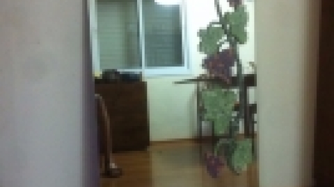 עבודות תלמידים מחוג פסיפס תשעו בהדרכת נועה בן אור (6).jpg