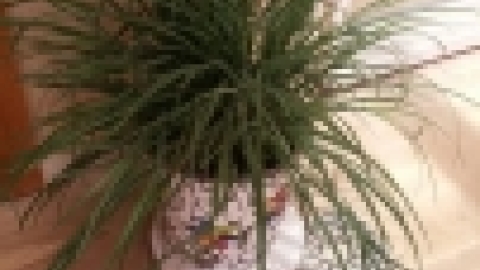 עבודות תלמידים מחוג פסיפס תשעו בהדרכת נועה בן אור (2).jpg