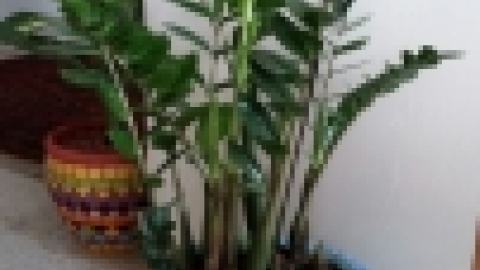 עבודות תלמידים מחוג פסיפס תשעו בהדרכת נועה בן אור (17).jpg