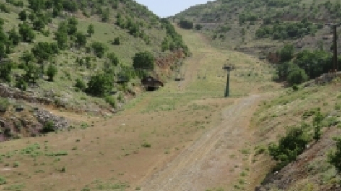 טיול לחרמון 3.6 (3).jpg