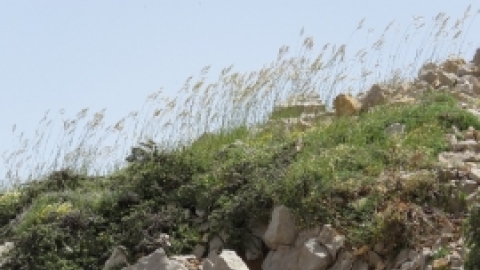 טיול לחרמון 3.6 (10).jpg