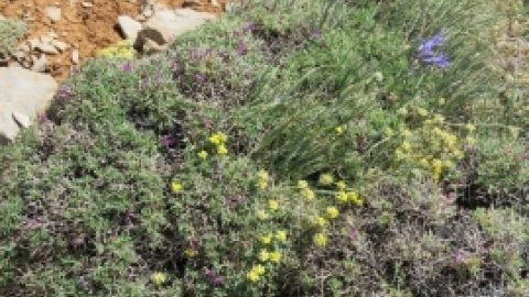 טיול לחרמון 3.6 (8).jpg