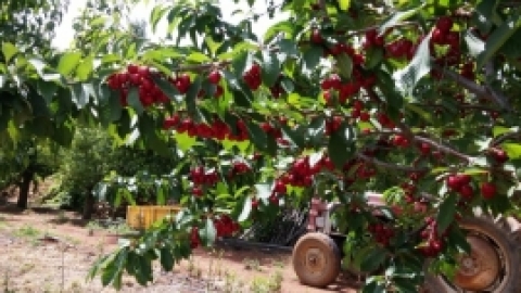 טיול לחרמון 3.6 (27).jpg