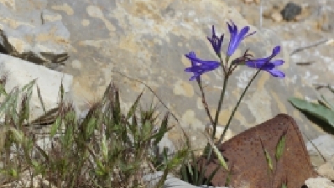 טיול לחרמון 3.6 (31).jpg