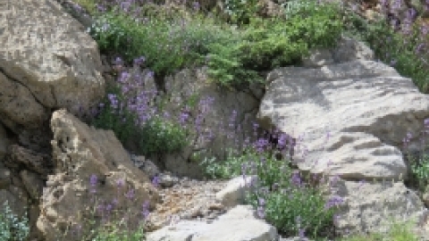 טיול לחרמון 3.6 (33).jpg