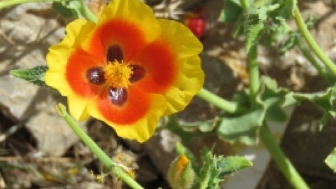 טיול לחרמון 3.6 (34).jpg