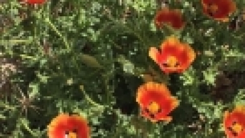 טיול לחרמון 3.6 (22).jpg