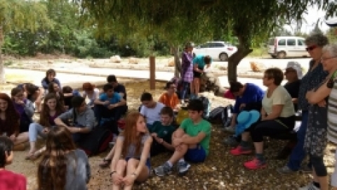 משחק פטאנק רב דורי (15).jpg