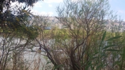 טריסטראם טיול מרתק לאורך הקישון (4).jpg