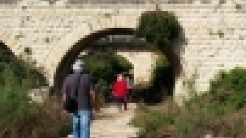 טריסטראם טיול מרתק לאורך הקישון (13).jpg