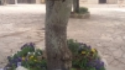 טריסטראם טיול מרתק לאורך הקישון (23).jpg