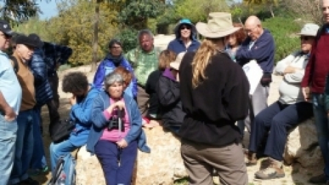 טריסטראם טיול מרתק לאורך הקישון (16).jpg