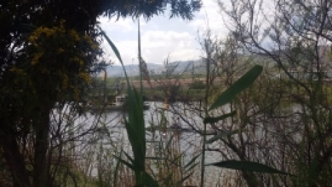 טריסטראם טיול מרתק לאורך הקישון (25).jpg