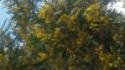 טריסטראם טיול מרתק לאורך הקישון (27).jpg