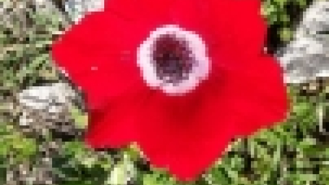 הפארק הביוספרי ברמות מנשה - תמונות וחוויות (13).jpg