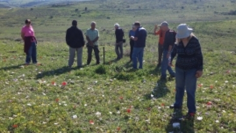 הפארק הביוספרי ברמות מנשה - תמונות וחוויות (9).jpg