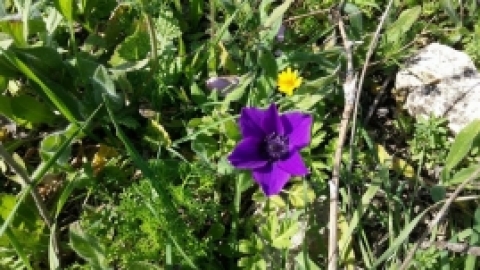 הפארק הביוספרי ברמות מנשה - תמונות וחוויות (8).jpg