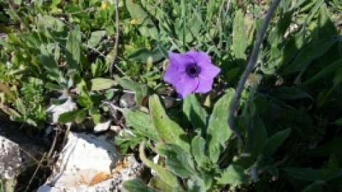 הפארק הביוספרי ברמות מנשה - תמונות וחוויות (11).jpg