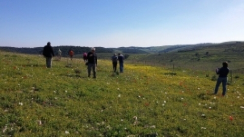 הפארק הביוספרי ברמות מנשה - תמונות וחוויות (14).jpg