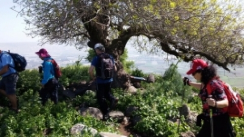 ממצפה אלות לעמק הירדן בואך בית זרע - פברואר 2016 (6).jpg