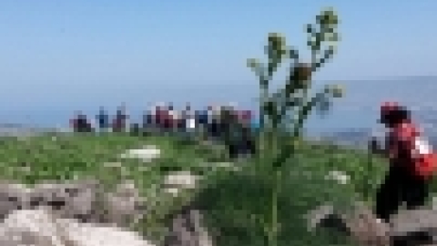 ממצפה אלות לעמק הירדן בואך בית זרע - פברואר 2016 (1).jpg