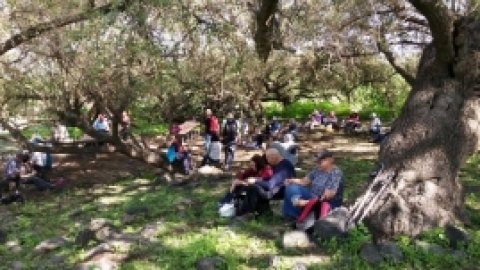 ממצפה אלות לעמק הירדן בואך בית זרע - פברואר 2016 (9).jpg