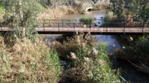 ממצפה אלות לעמק הירדן בואך בית זרע - פברואר 2016 (8).jpg