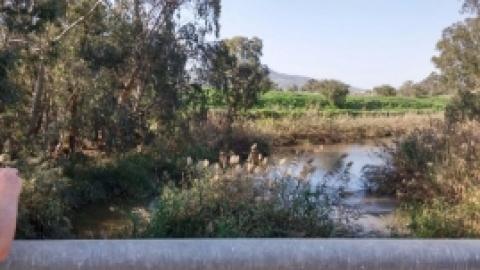 ממצפה אלות לעמק הירדן בואך בית זרע - פברואר 2016 (2).jpg